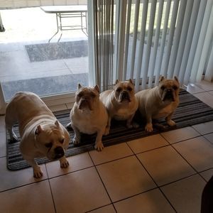 Meet your Posher, Tammy